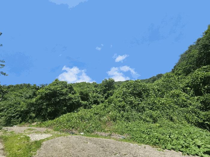 전남 광양시 옥곡면 묵백리 산50 임야 사진 3
